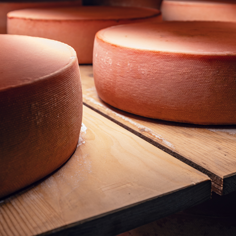 cheese